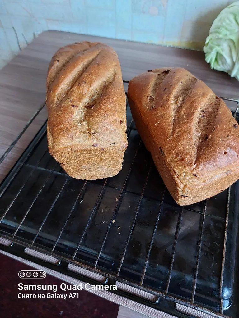 Tapтaлeтки & Ко