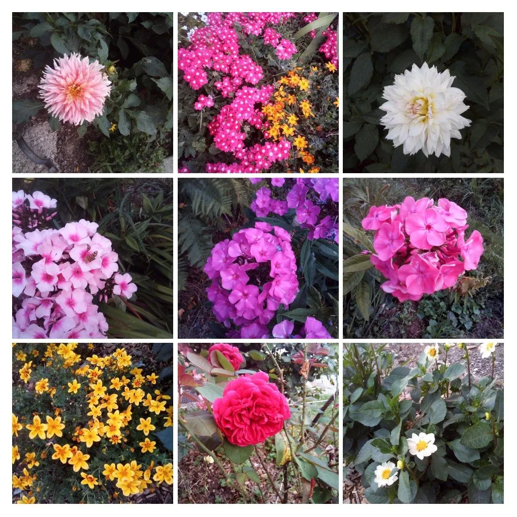 Чайная беседка