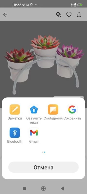 Чайная беседка