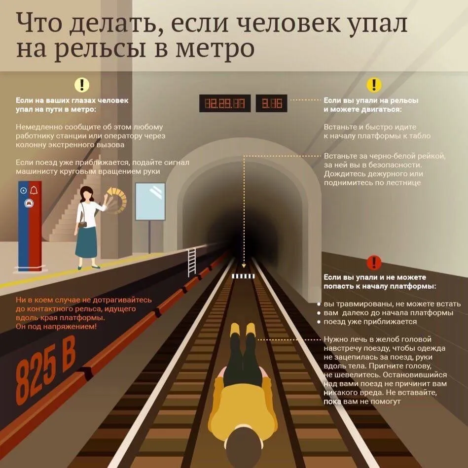 Домашняя инфографика