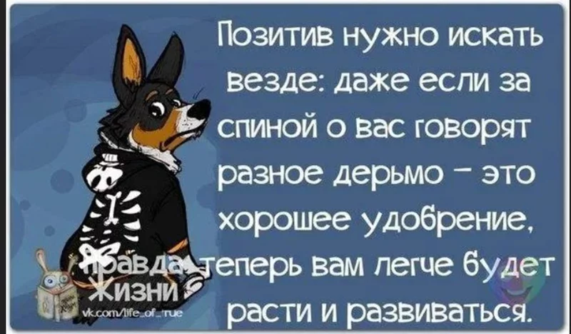 Позитивчик (фото, видео, рассказы для хорошего настроения)