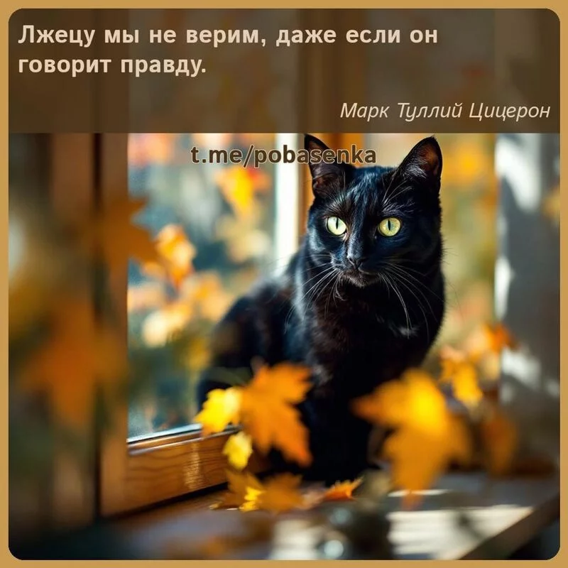 «Лжецу мы не верим, даже если он говорит...» height="550" width="550"