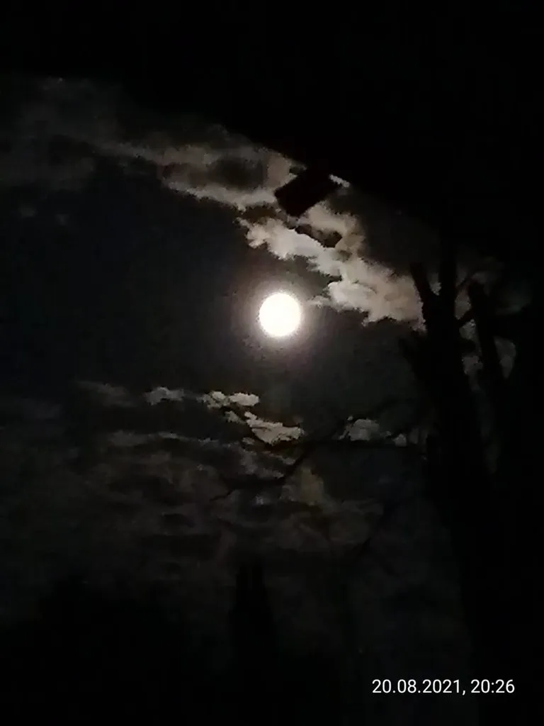 Чайная беседка