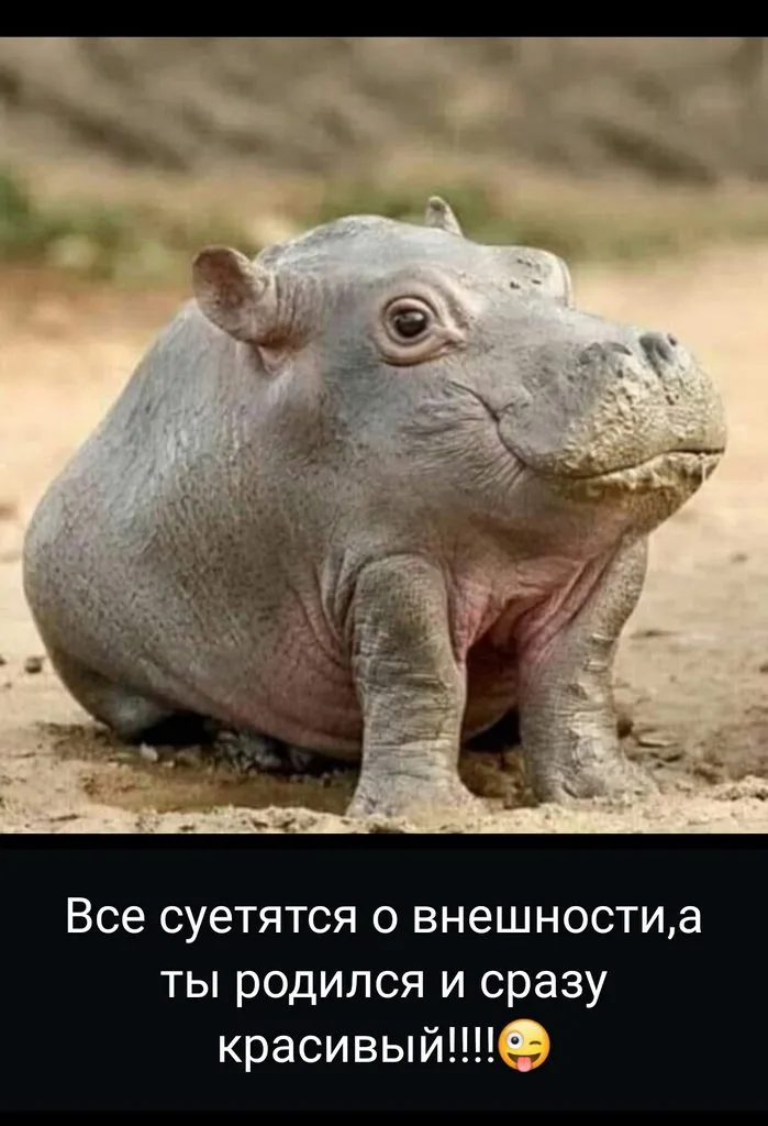 Позитивчик (фото, видео, рассказы для хорошего настроения)