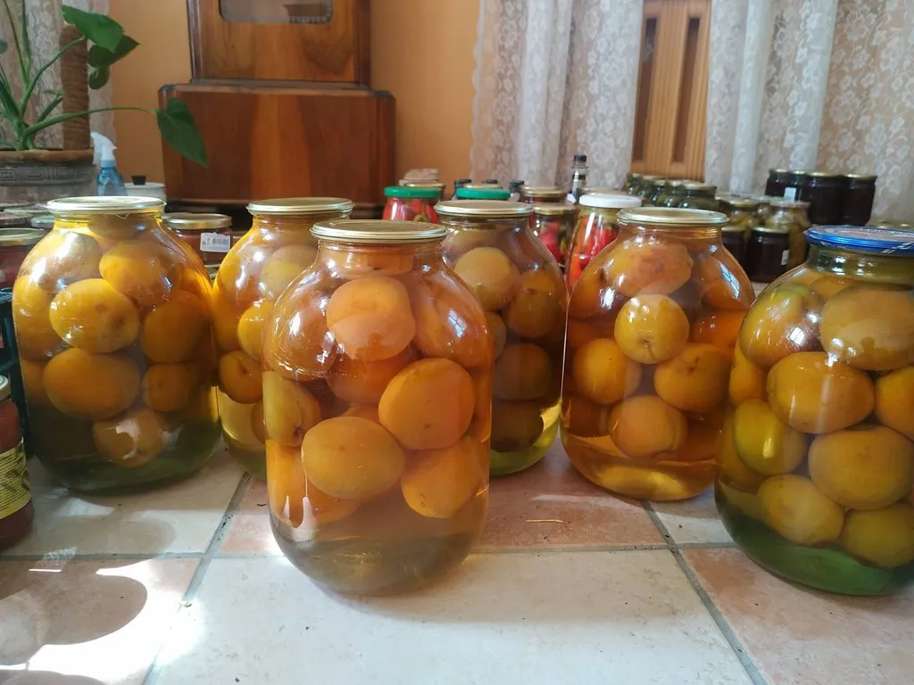 Чайная беседка