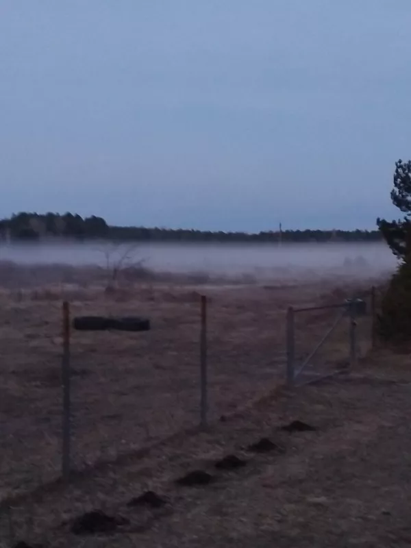 Чайная беседка