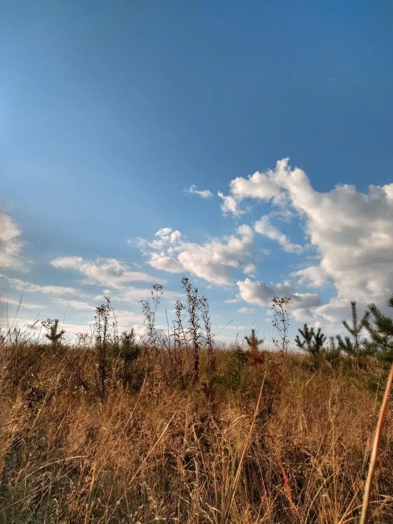 Такое разное небо