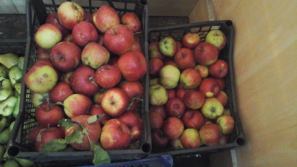 Чайная беседка