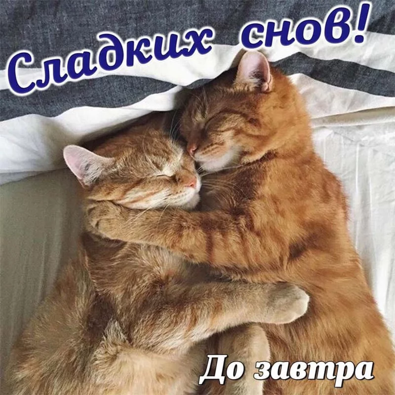 Кафе "У пани Сони"