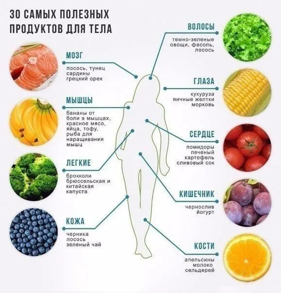 Медицинская инфографика