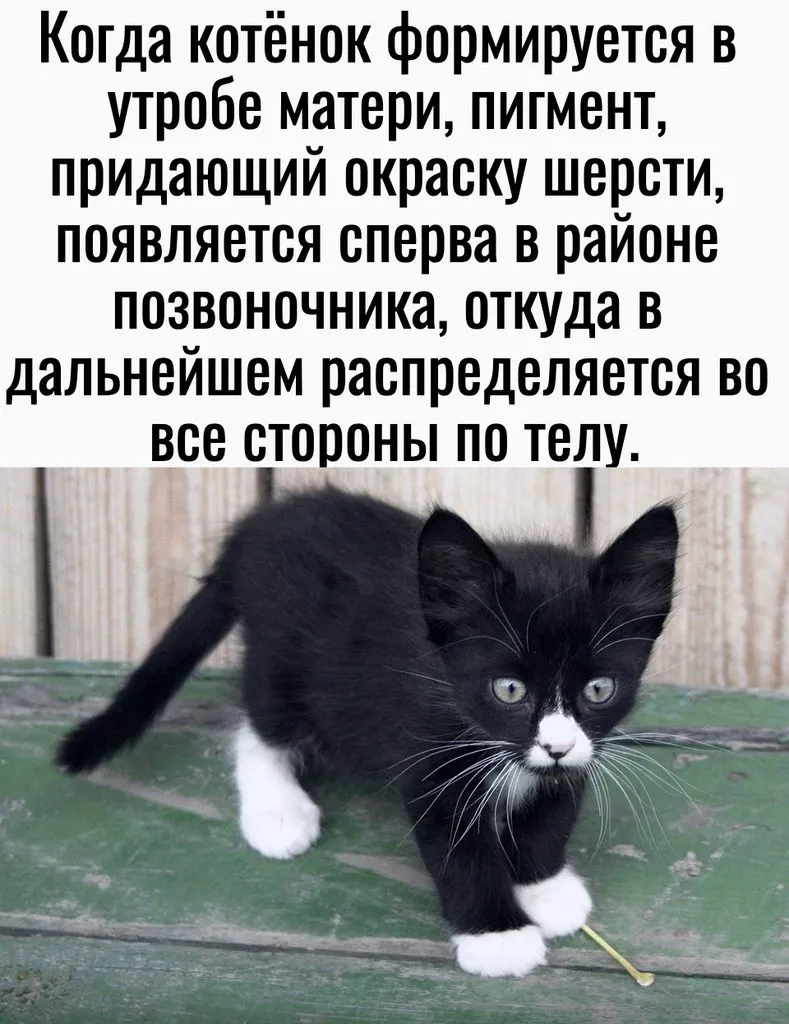 Это интересно!