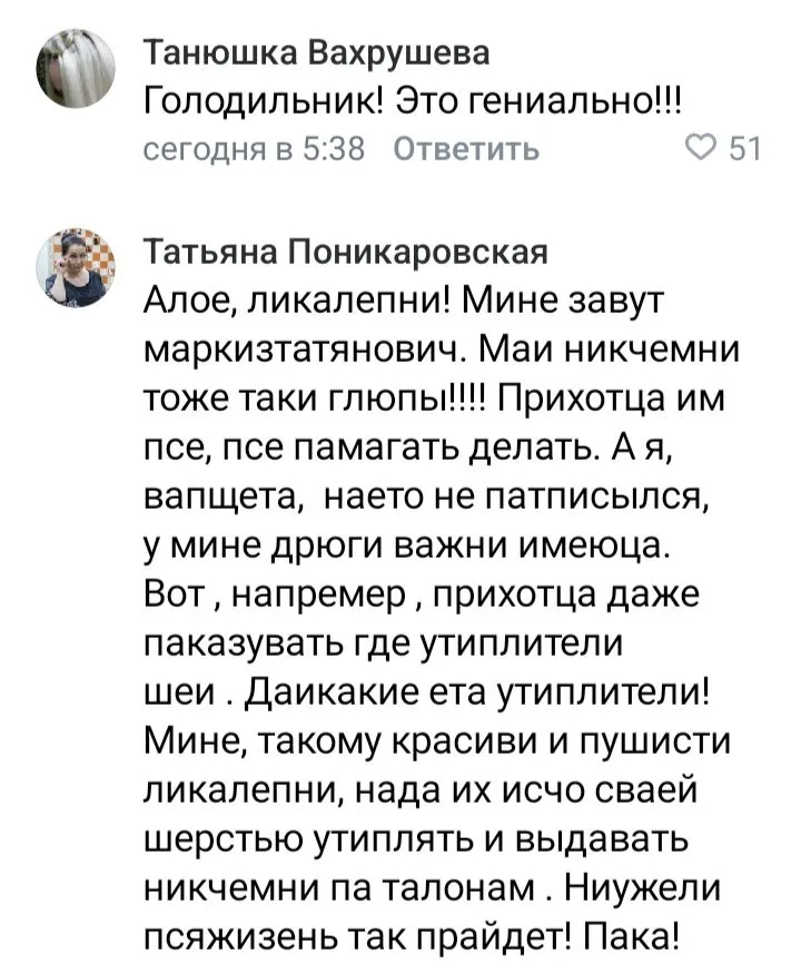 Кошичкина полиция