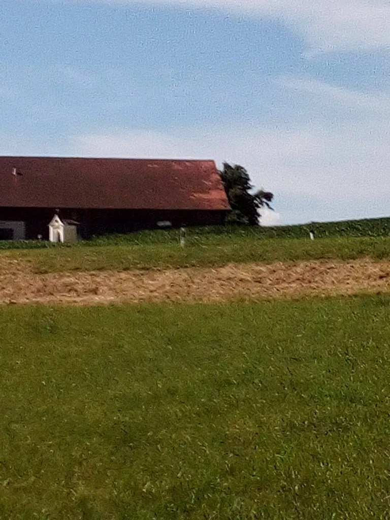 Чайная беседка