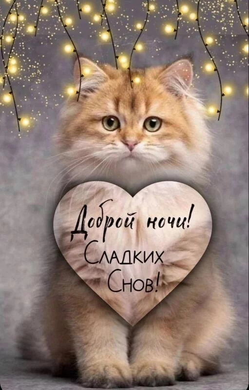 Кафе "У пани Сони"
