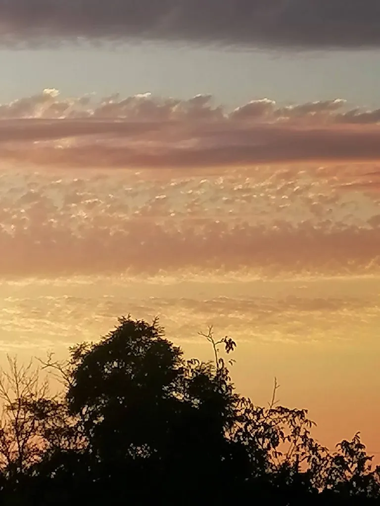 Чайная беседка