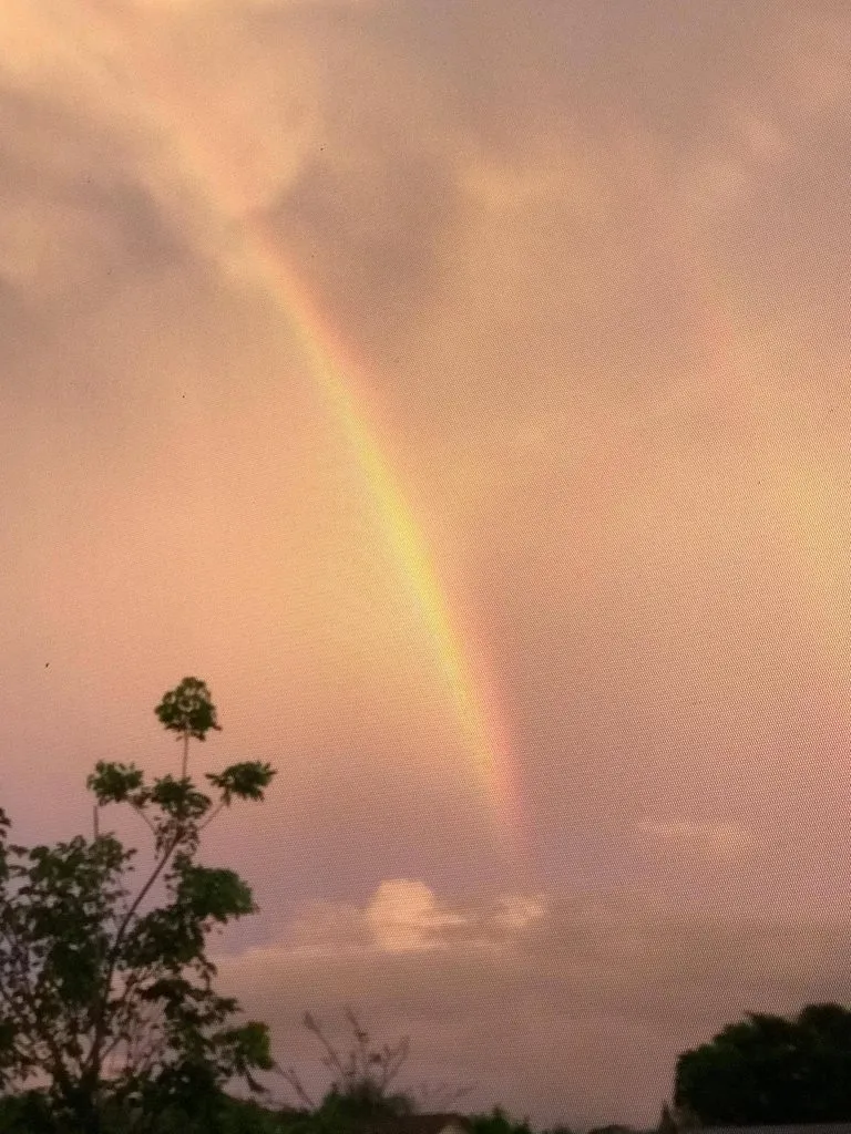 Такое разное небо