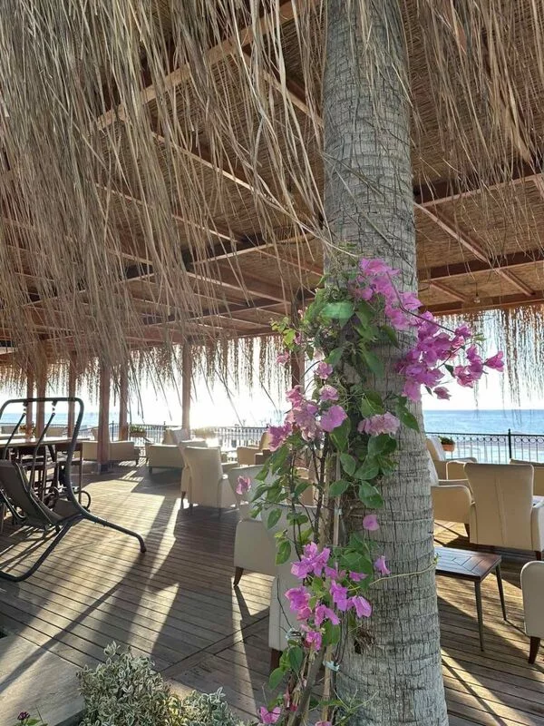 Фотонастроение