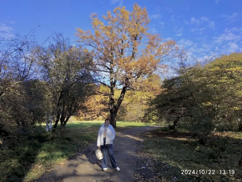Tapтaлeтки & Ко