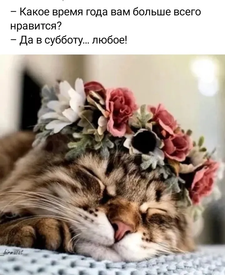 Кафе «У пани Сони»