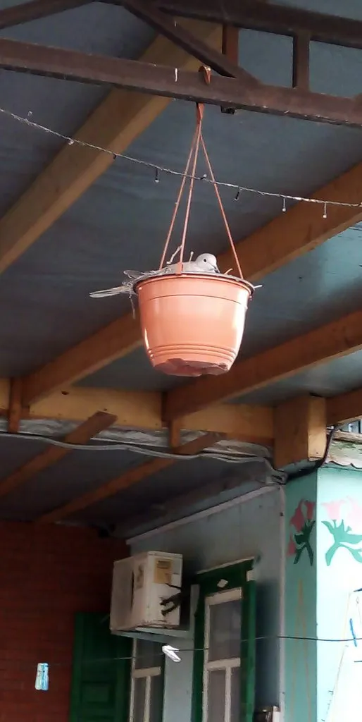 Чайная беседка