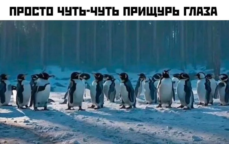 Кафе "У пани Сони"