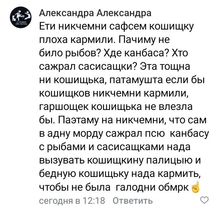 Кошичкина полиция
