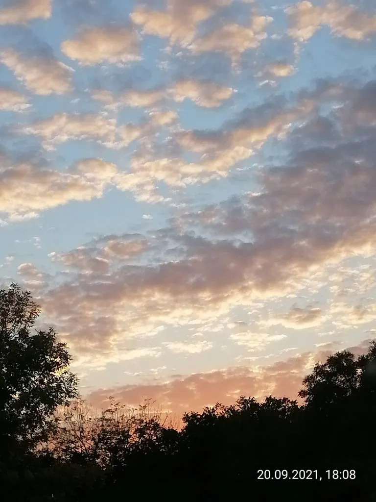 Такое разное небо