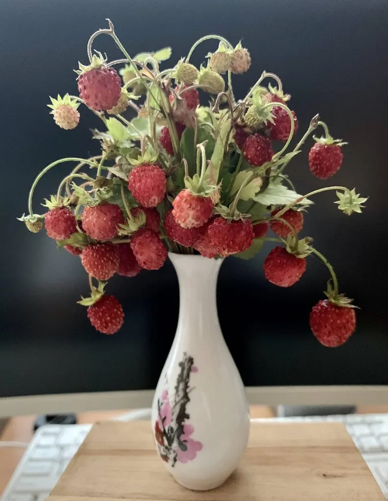 Чайная беседка