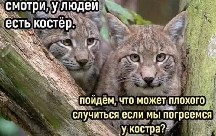 Посмеялся сам - поделись с другом!!!