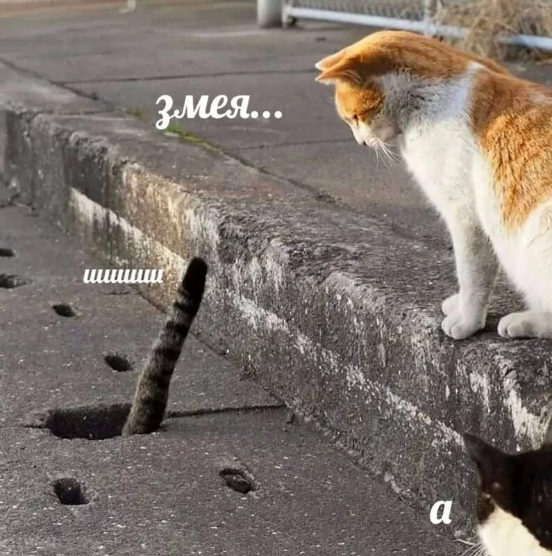 Посмеялся сам - поделись с другом!!!