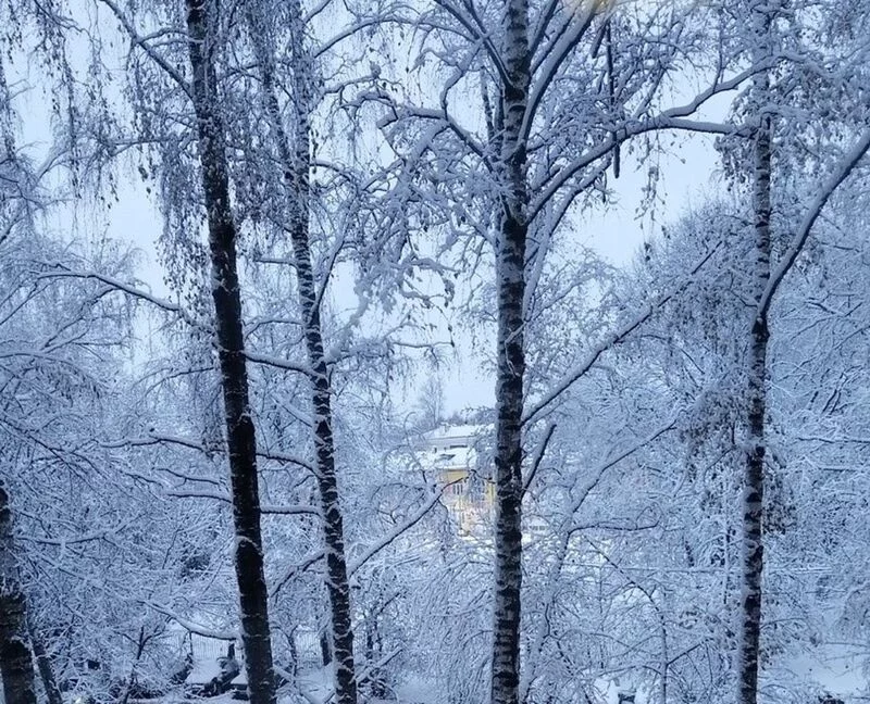 Такое разное небо