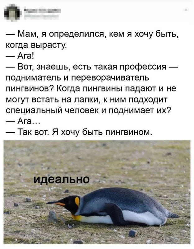 Посмеялся сам - поделись с другом!!!