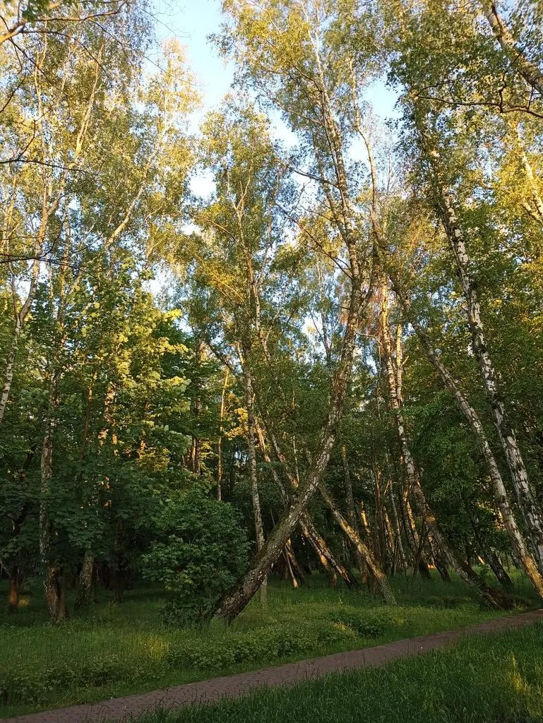Калининградская область (не только море и янтарь) 