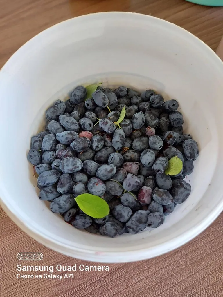 Чайная беседка