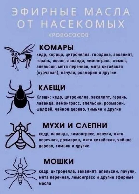 Медицинская инфографика