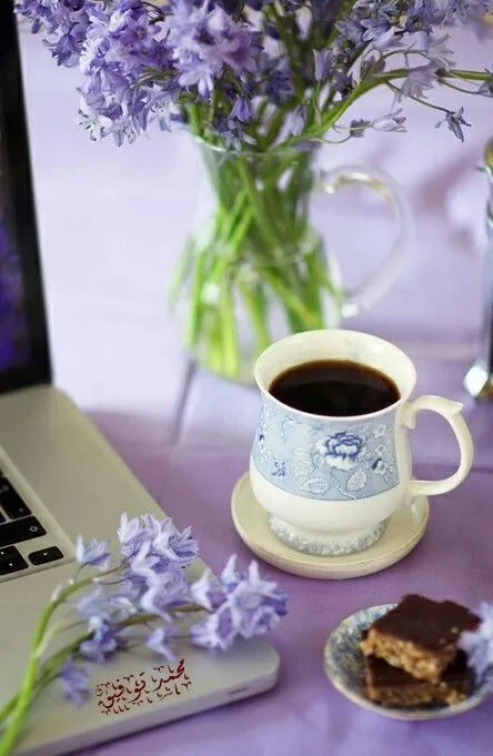 Tapтaлeтки & Ко