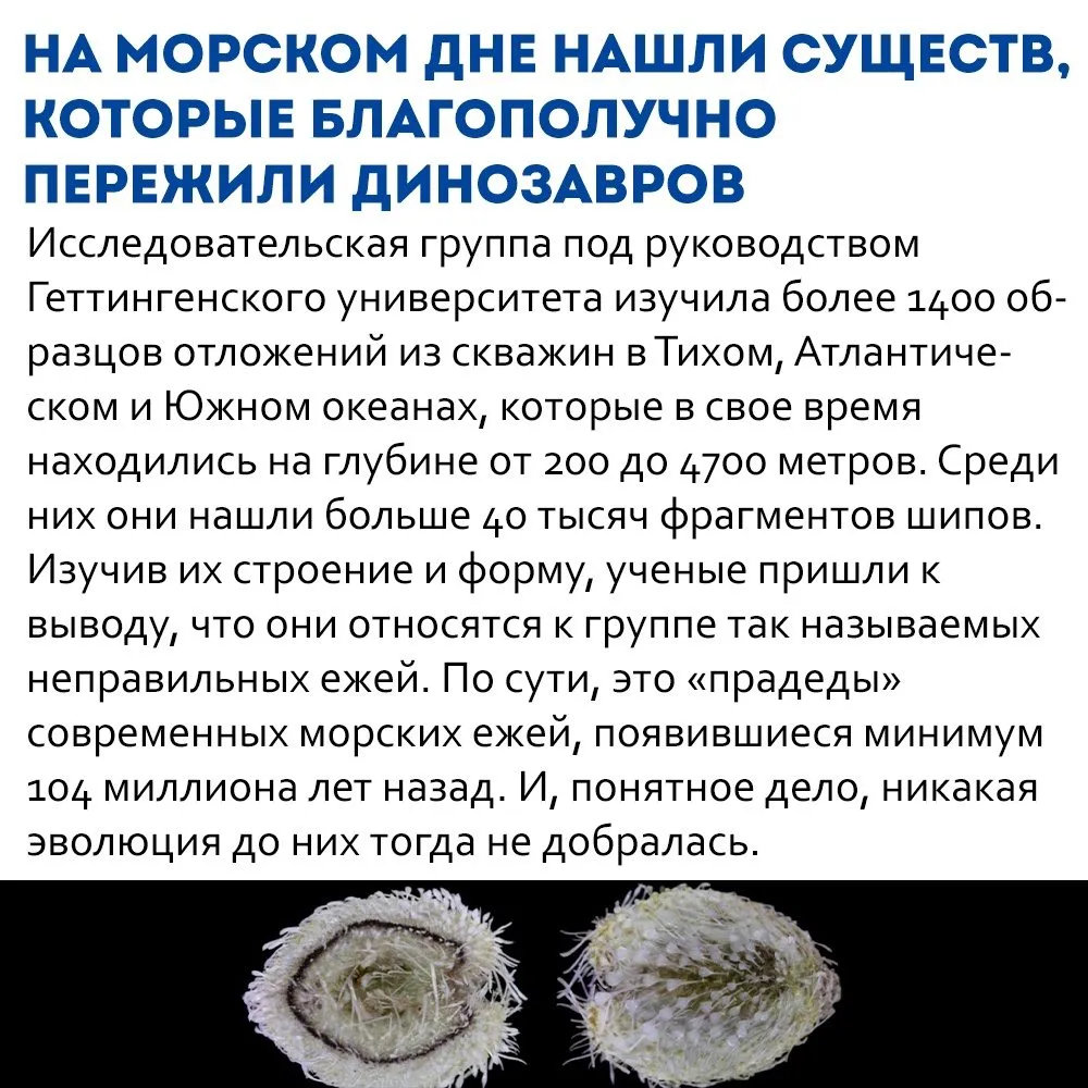 Это интересно!