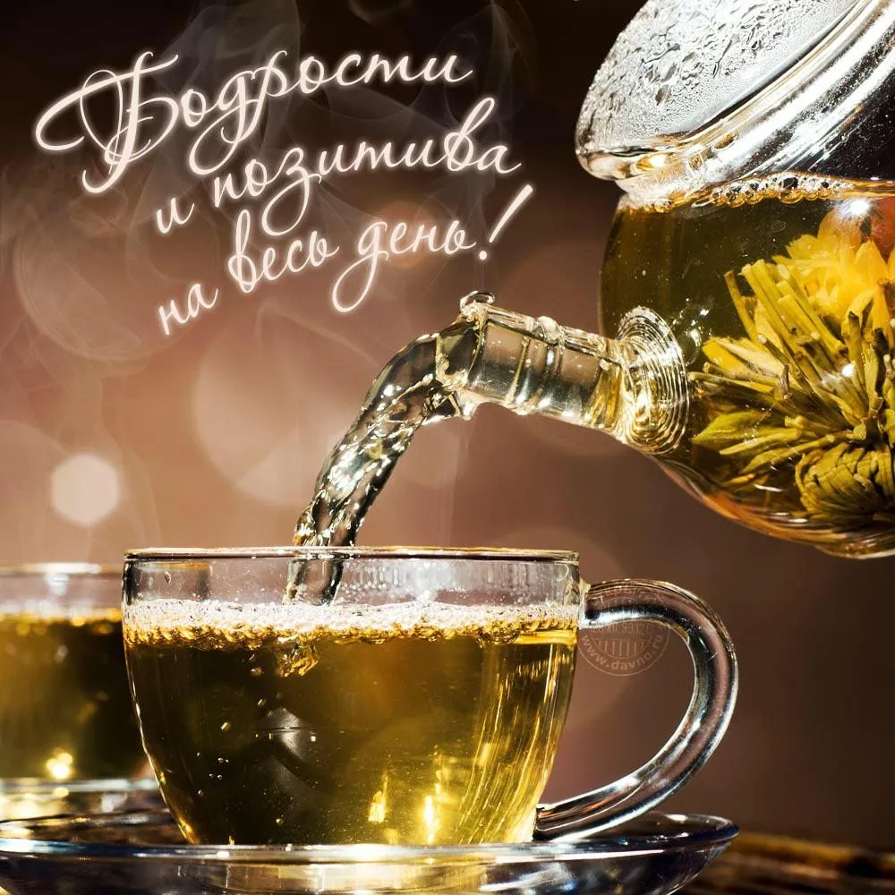 Чайная беседка