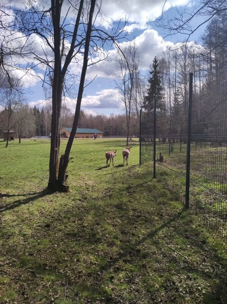 Чайная беседка