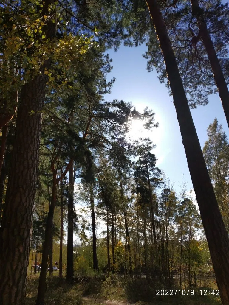 Tapтaлeтки & Ко