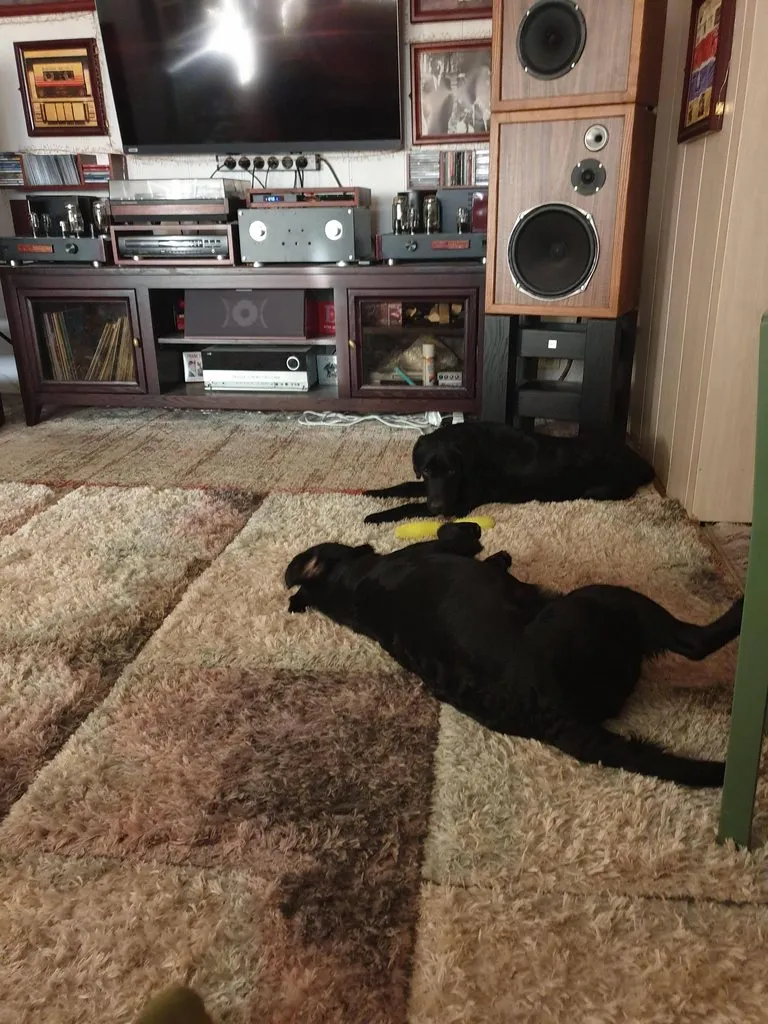 Чайная беседка