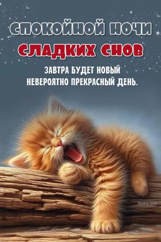 Кафе "У пани Сони"