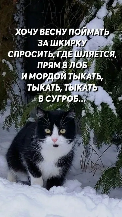 Кафе «У пани Сони»