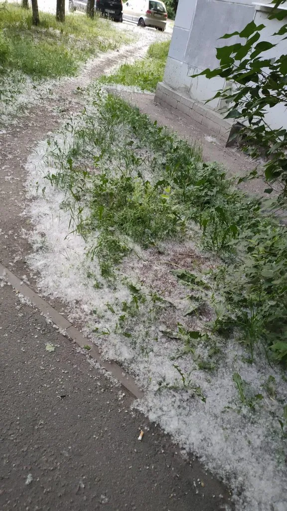 Времена года (наши фото)