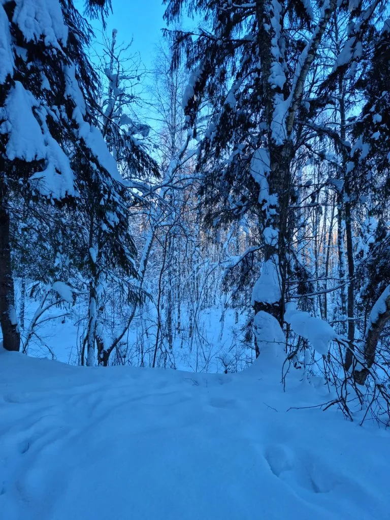 Фотонастроение