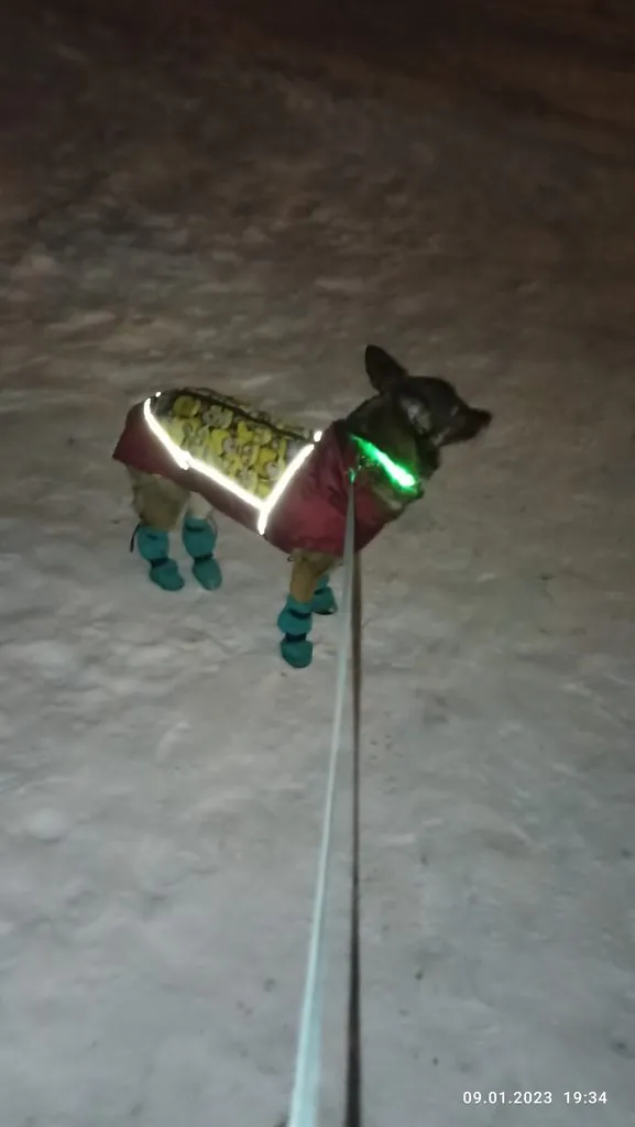 Чайная беседка