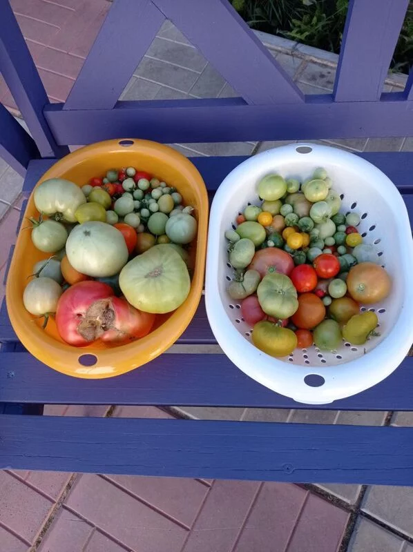 Чайная беседка