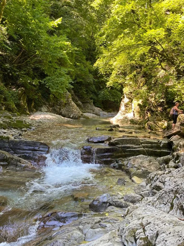 Чайная беседка