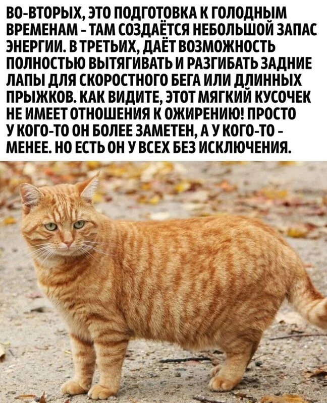 Это интересно!