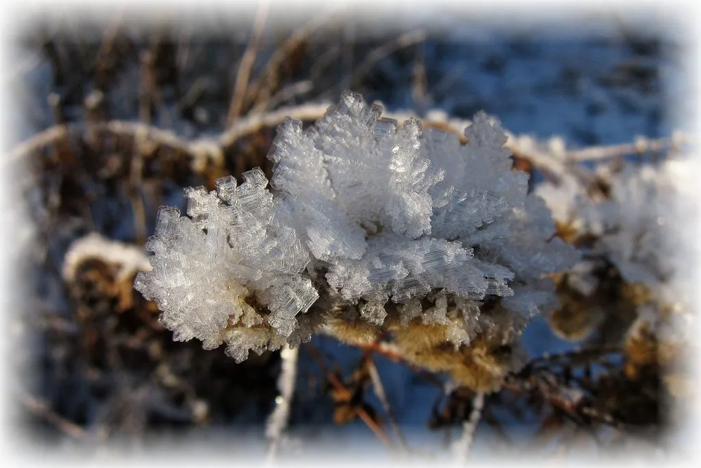 Tapтaлeтки & Ко
